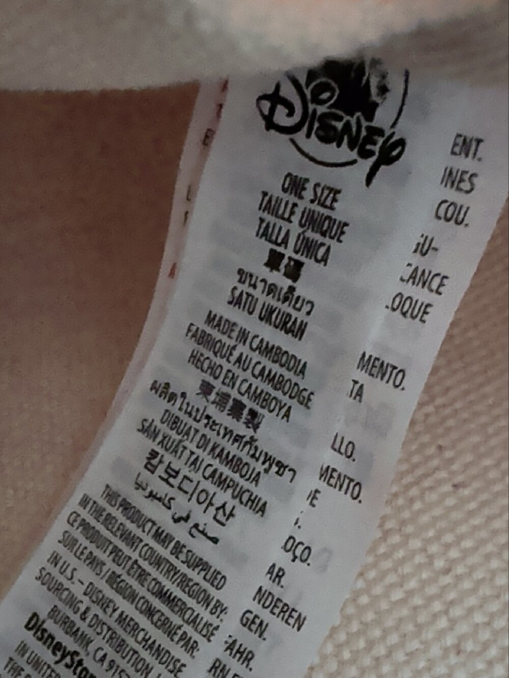 Disneyland Large Canvas Tote NWT - Picture 5 of 6